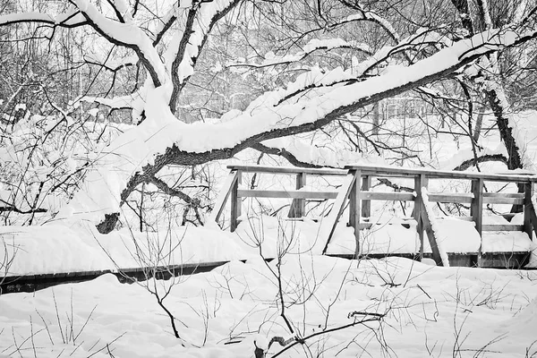 Pont Bois Dans Parc Ville Jour Hiver Noir Blanc — Photo