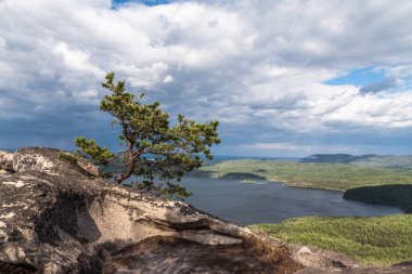 Nehir kenarındaki doğal tepe arkaplanı.