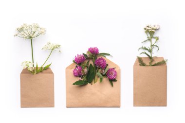 Sağlıklı bitkisel çevre hediye konsepti