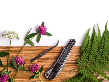 Çiçekçi aletleri, çimenler, beyaz arka planda tahta tahtadaki çiçekler....