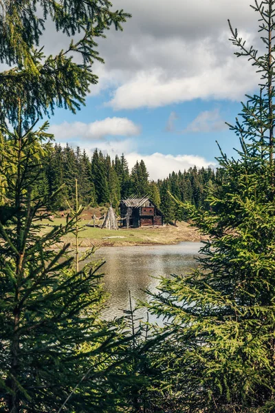 Ruinerna Forntida Bosättning Bland Skogen — Stockfoto