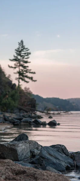 Sjöstrand Med Stenar Och Träd — Stockfoto