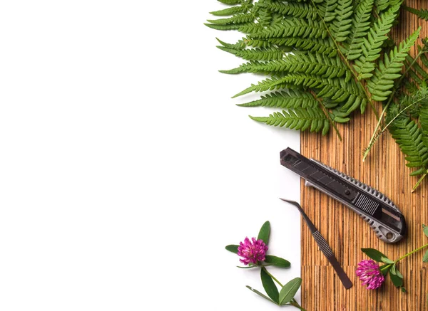 Still life with florist tools, grass, flowers on wooden board on white background.