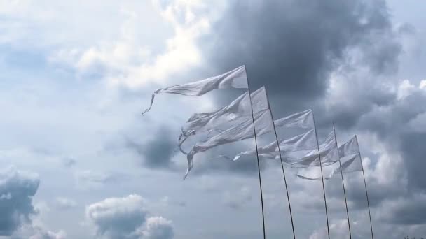 Flags Waving Windy Weather Sky Background — Stock Video