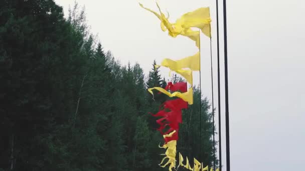 Флаги Машут Ветреную Погоду Фоне Неба — стоковое видео