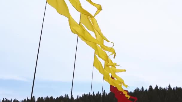 Flagi Machające Wietrznej Pogodzie Tle Nieba — Wideo stockowe