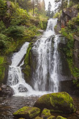 Triberg şelaleler Kara Orman, Almanya
