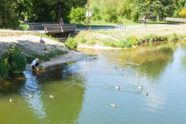Sigmaringen, Almanya 'da güneşli bir günde park