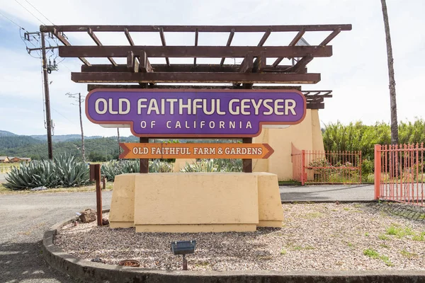 Starý Věrný Gejzír Calistoga Napa Valley Kalifornie — Stock fotografie