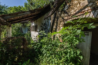 ormanda çürümüş çiftlik