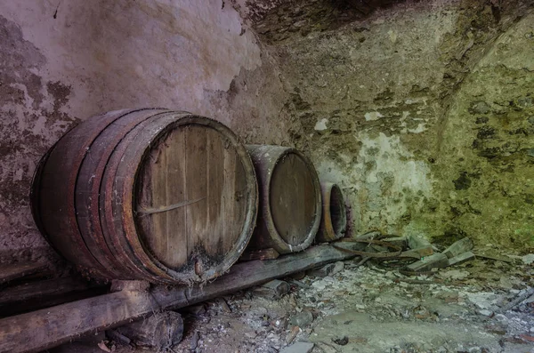 Wooden Barrels Cellar Mold — Stock Photo, Image