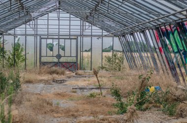 kırık dilimleri içinde terk edilmiş Bahçe