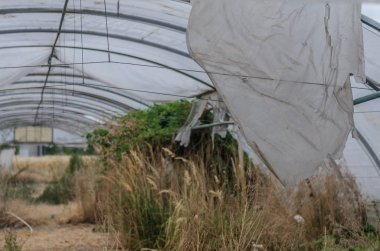 Yırtık plastik içinde terk edilmiş Bahçe