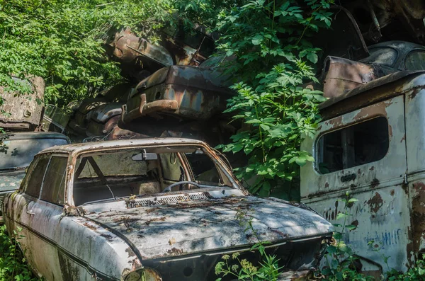 Πολλά Αυτοκίνητα Μια Μάντρα Στο Δάσος — Φωτογραφία Αρχείου