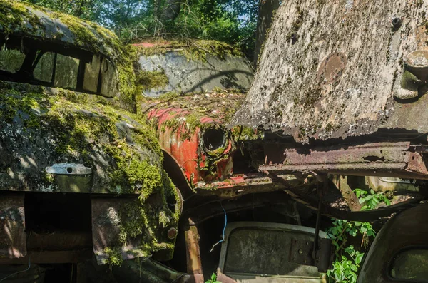 Old Cars Moss Forest Nature — Stock Photo, Image