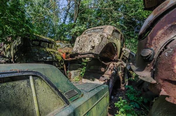 Viele Alte Autos Auf Einem Schrottplatz Wald — Stockfoto