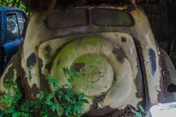 在森林的垃圾场的汽车后部 — 图库照片