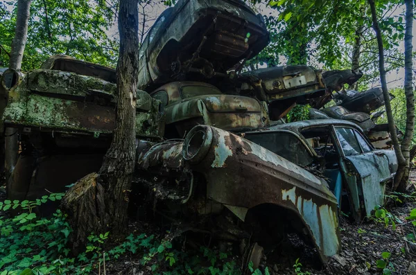 Wiele Starych Samochodów Między Drzewami — Zdjęcie stockowe