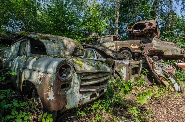 Beautiful Cars Junkyard Woods — Stock Photo, Image