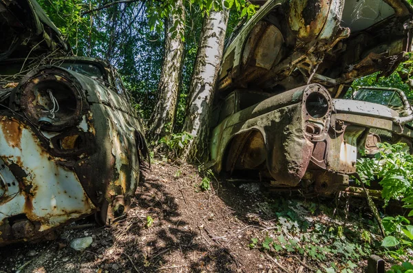 Zardzewiały Starych Samochodów Zalesionej Okolicy — Zdjęcie stockowe