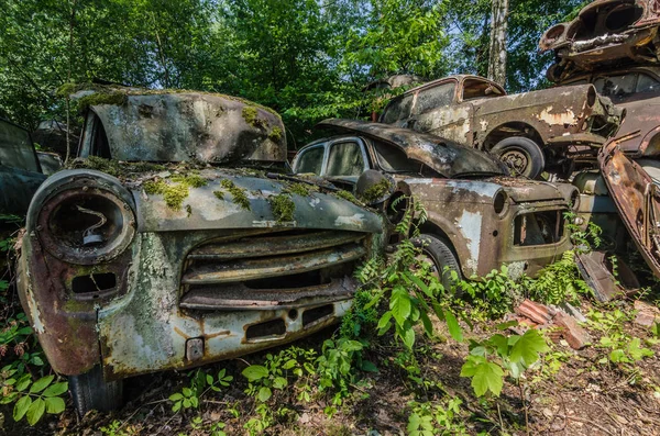 Vecchie Auto Con Muschio Una Discarica Nella Foresta — Foto Stock