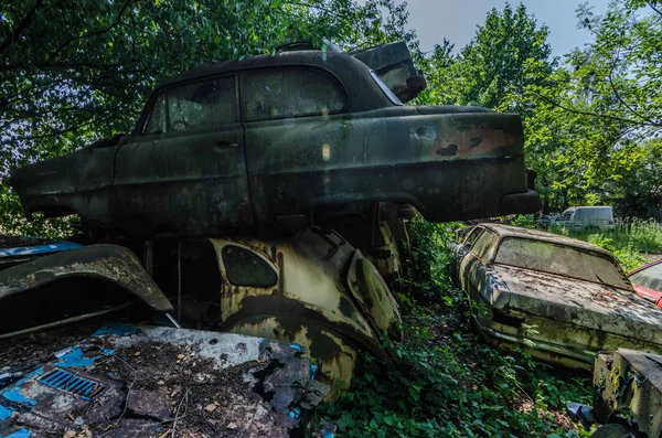 廃品の草に覆われた車 — ストック写真