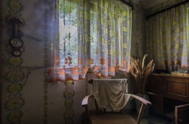 bir odada koltuk ve kurutulmuş bitkiler