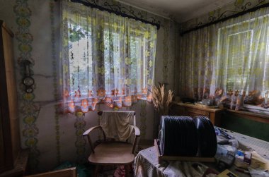 koltuk ve kurutulmuş bitkiler Panorama Görünümü