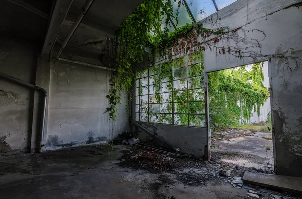 植物と古い工場の入口 — ストック写真