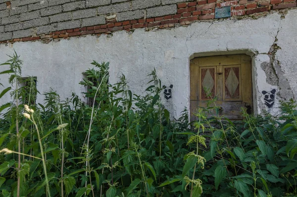 Hus Med Vuxen Entrédörr Ett Hus — Stockfoto