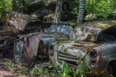 Doğa ormanında birçok eski arabalar