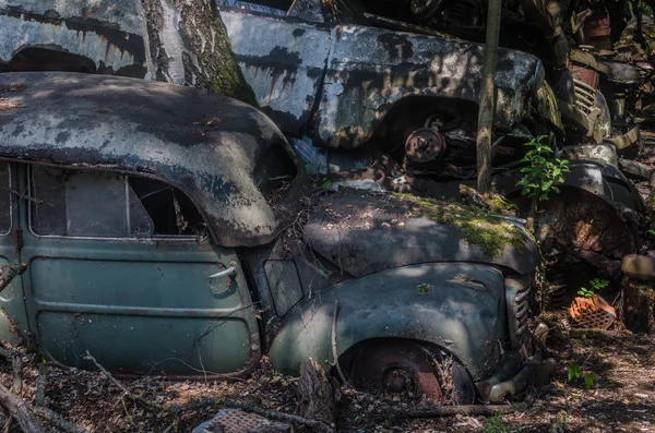 Coches Depósito Chatarra Abandonado Bosque — Foto de Stock