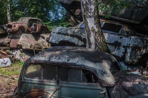 Много Старых Машин Деревьях Условиях Войны — стоковое фото