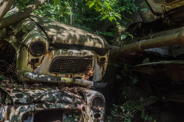 木の影が付いている古い車 — ストック写真