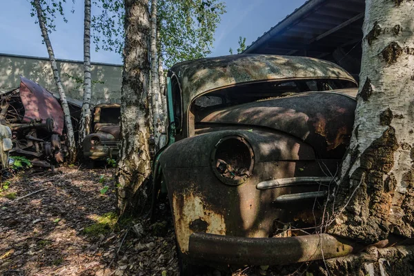 Umgestürzter Baum Bei Auto Auf Autofriedhof — Stockfoto