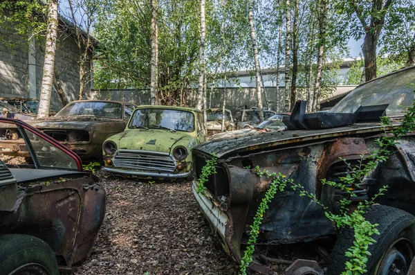 Много Старых Машин Заброшенном Дворе — стоковое фото