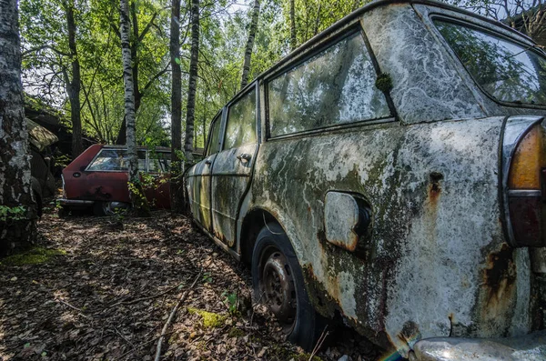 Stare Samochody Między Drzewa Lesie — Zdjęcie stockowe