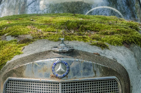 Moss Mercedes Detail View — Stock Photo, Image
