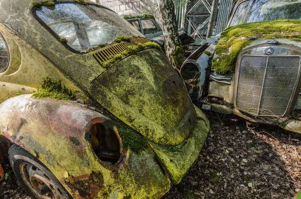 Moos Auf Rostigen Autos Auf Einem Autofriedhof — Stockfoto