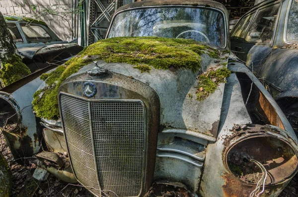 Alte Mercedes Mit Moos Auf Einem Schrottplatz — Stockfoto