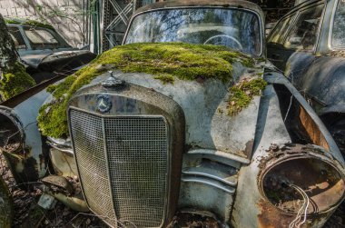 Eski mercedes araba mezarlığı üzerinde moss ile
