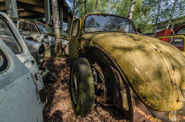 VW beetle ayrıntı görünümü