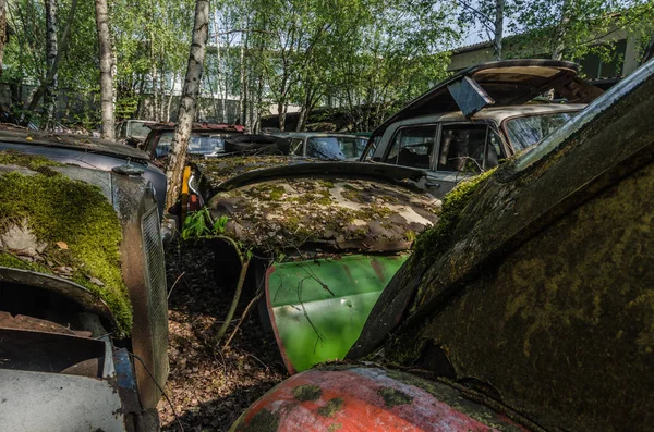 捨てられた場所のコケと古い車 — ストック写真