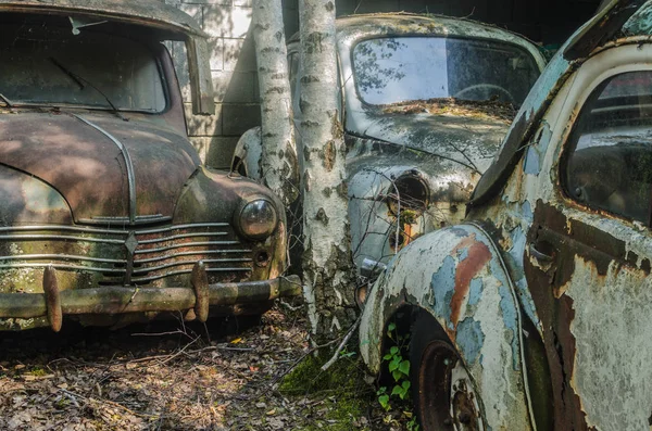 カー墓地の つの古い車 — ストック写真