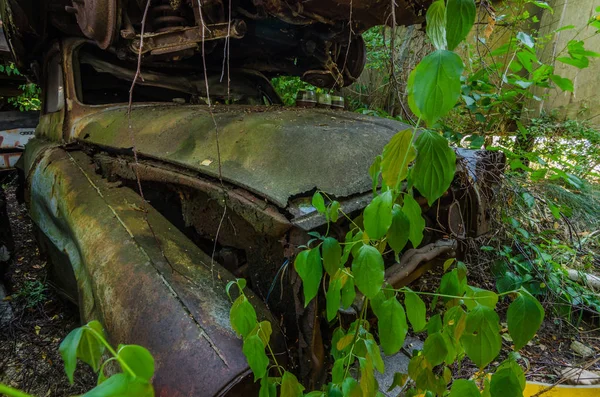 Coche Viejo Con Plantas Cementerio Coches — Foto de Stock