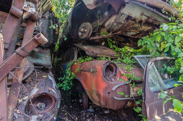 Carros Velhos Overgrown Espaço Armazenamento — Fotografia de Stock