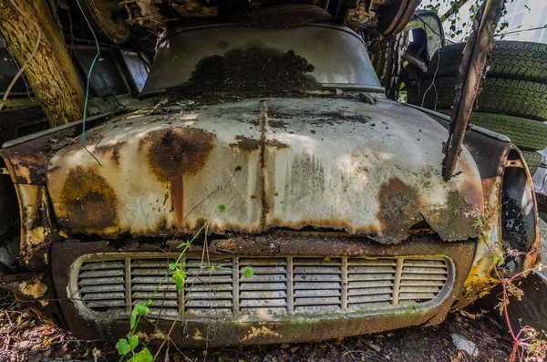 bir araba mezarlığı çok eski paslı araç