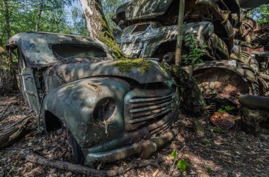 Terk edilmiş araba mezarlığı üzerinde moss ile araba