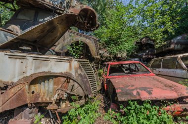 bir ormandaki güzel renkli eski arabalar