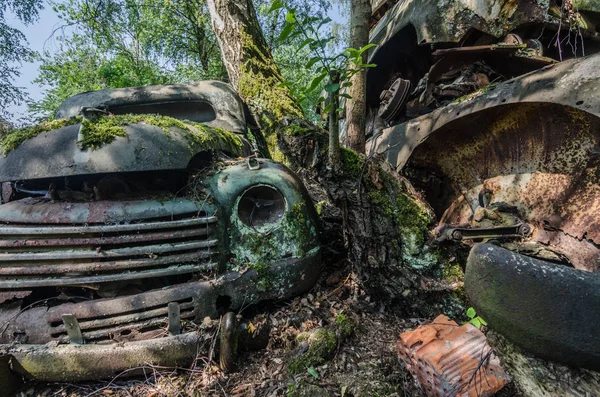 Мбаппе Старом Автомобиле Лесу Природе — стоковое фото